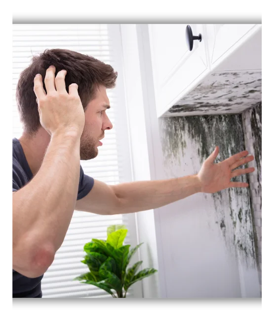 Moho Adjustify claims